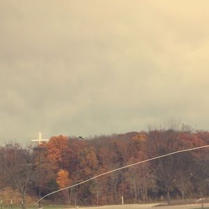 Meet your Posher, Bella